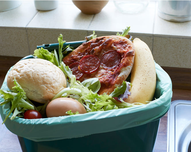 廚餘垃圾泛指家庭生活飲食中所需用的來源生料及成品(熟食)或殘留物